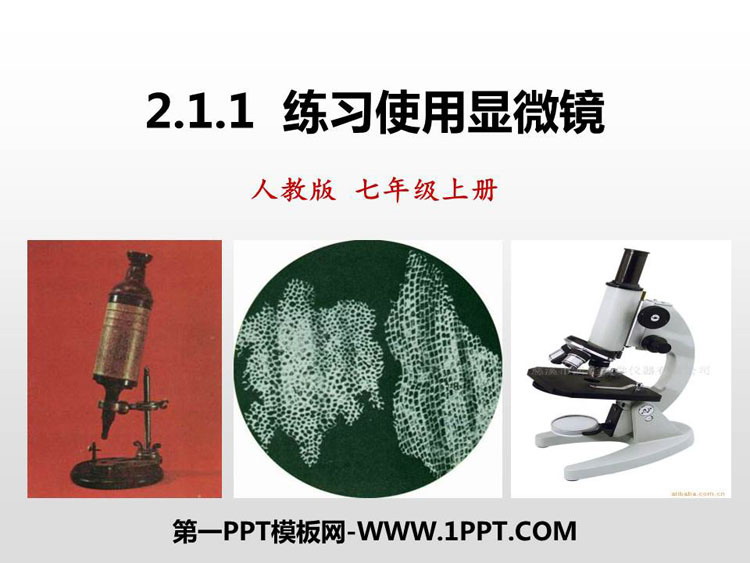 《练习使用显微镜》PPT免费课件