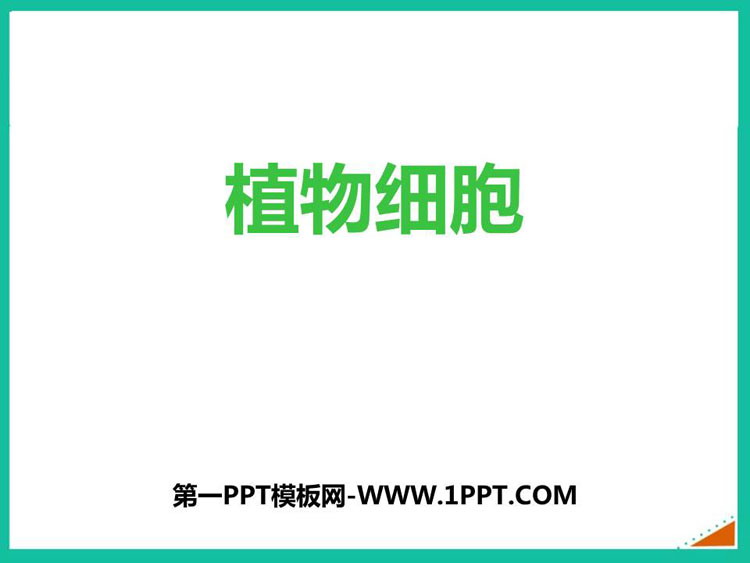 《植物细胞》PPT免费课件