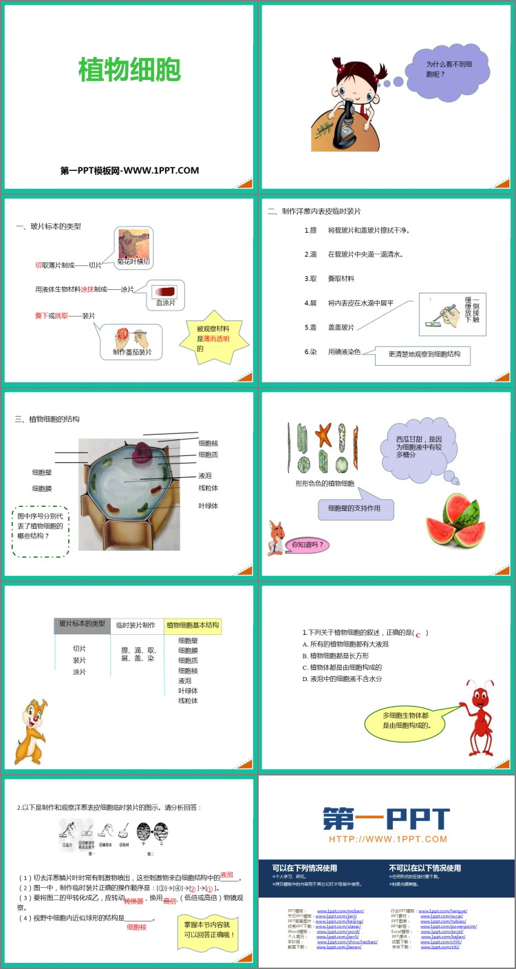 《植物细胞》PPT免费课件