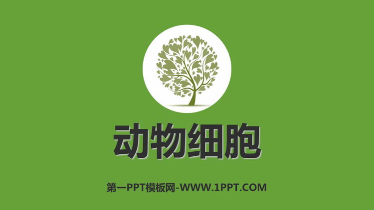 《动物细胞》PPT免费课件