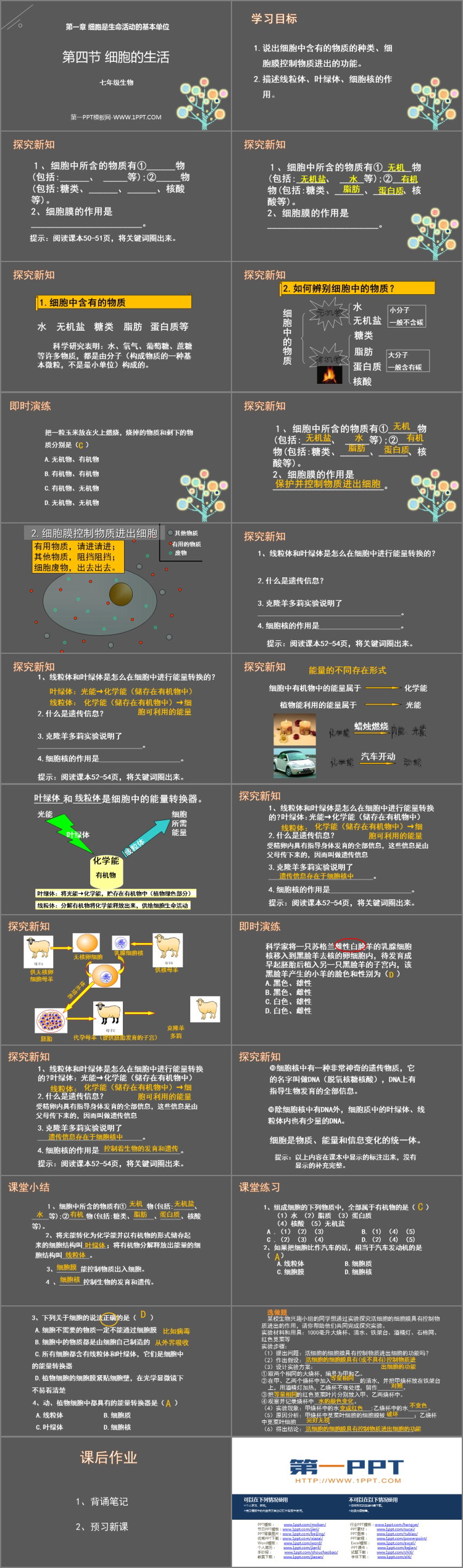《细胞的生活》PPT优质课件