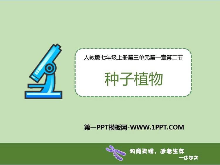 《种子植物》PPT优秀课件