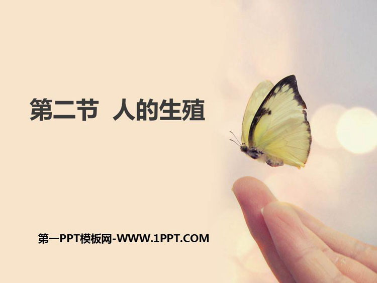 《人的生殖》PPT优质课件