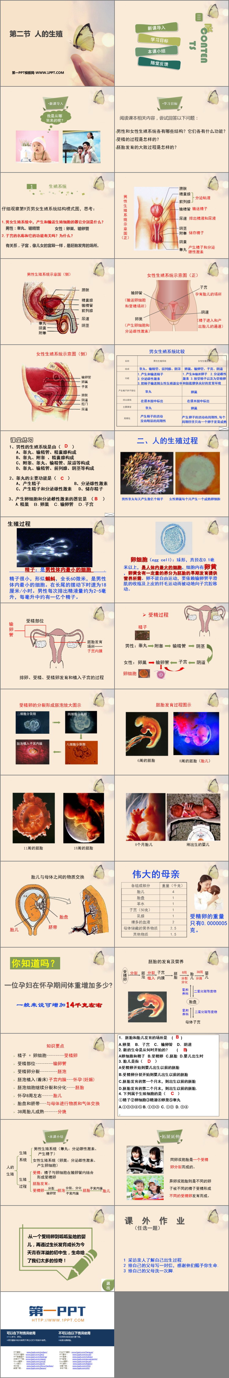 《人的生殖》PPT优质课件