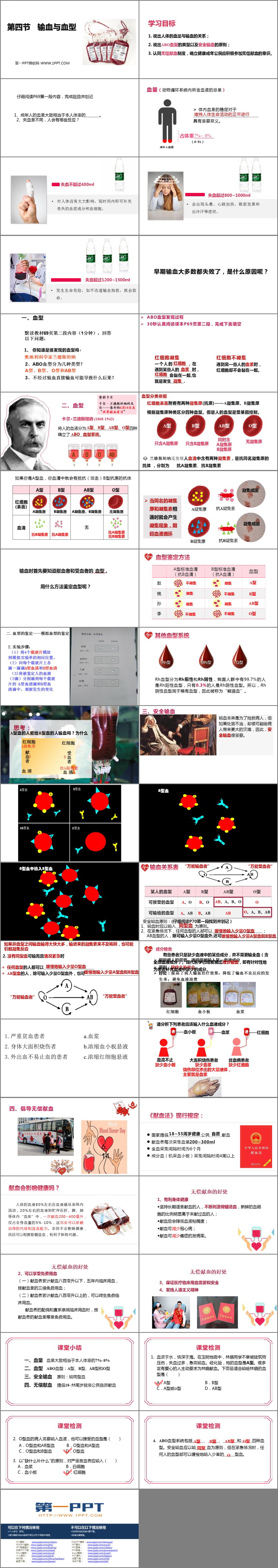 《输血与血型》PPT免费下载