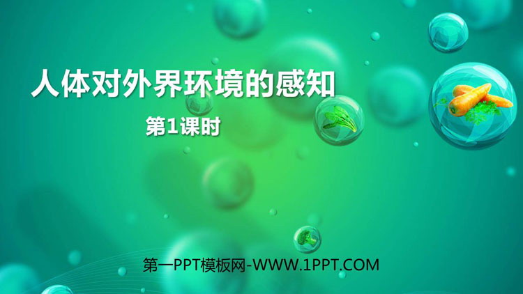 《人体对外界环境的感知》PPT课件下载(第1课时)