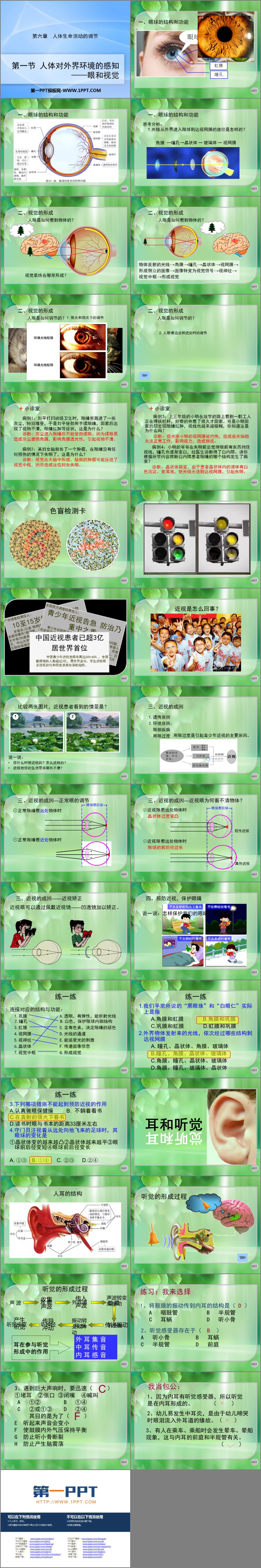 《人体对外界环境的感知》PPT免费课件