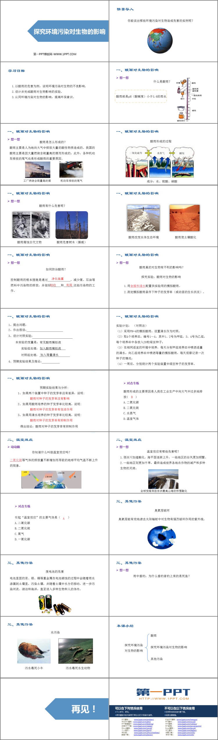《探究环境污染对生物的影响》PPT优质课件