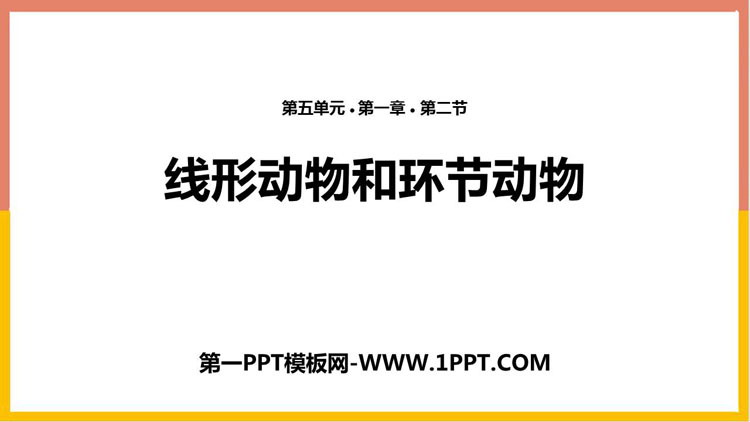 《线形动物和环节动物》PPT优质课件