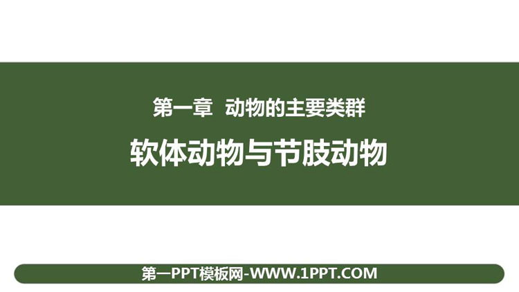 《软体动物和节肢动物》PPT免费下载