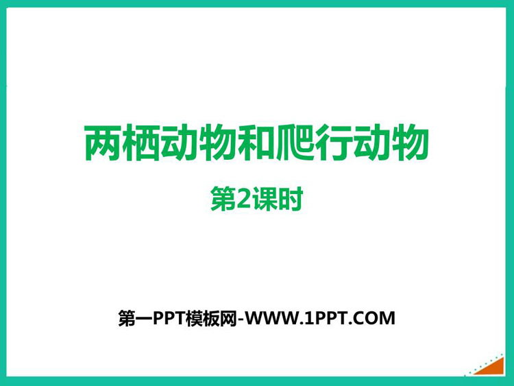 《两栖动物和爬行动物》PPT优质课件(第2课时)
