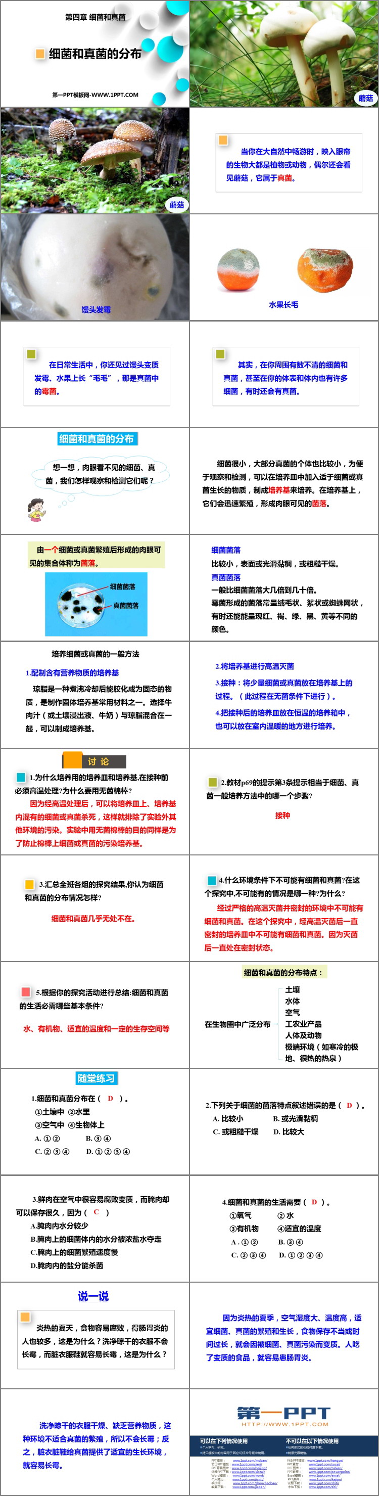 《细菌和真菌的分布》PPT免费下载