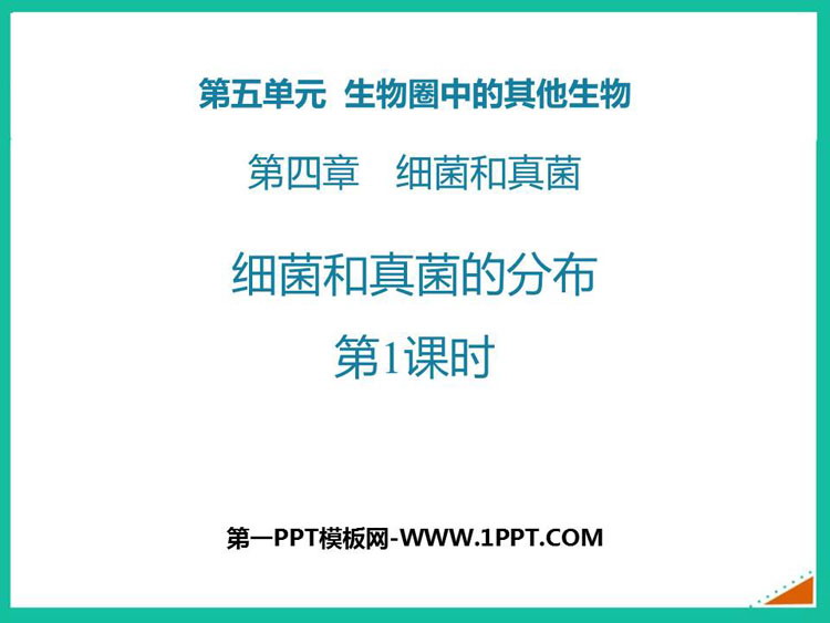 《细菌和真菌的分布》PPT教学课件(第1课时)