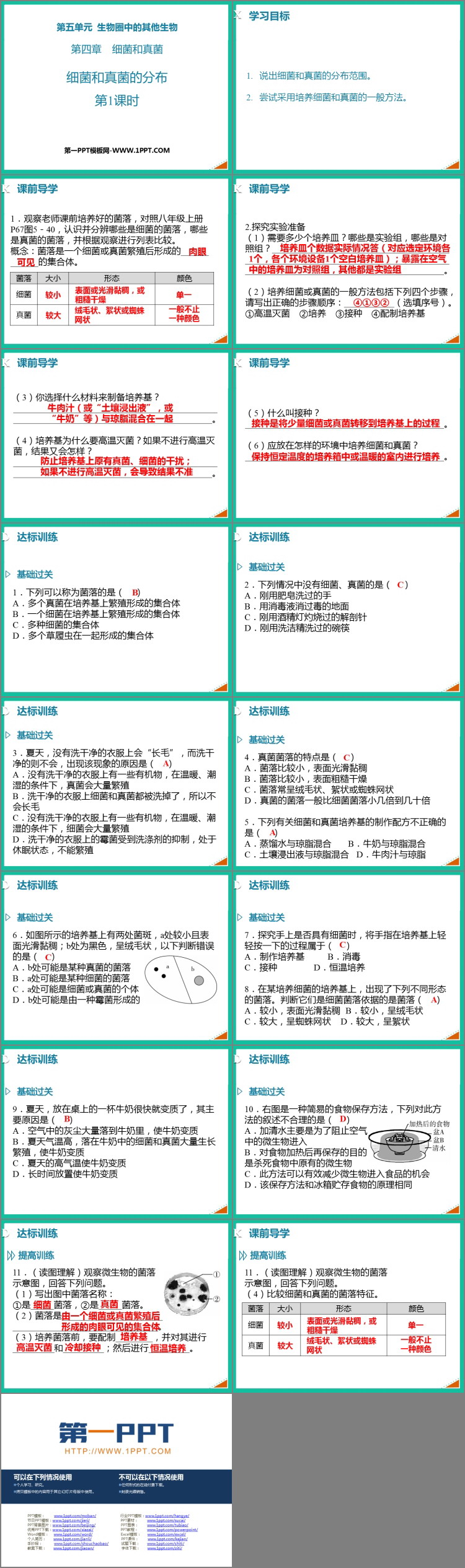 《细菌和真菌的分布》PPT教学课件(第1课时)