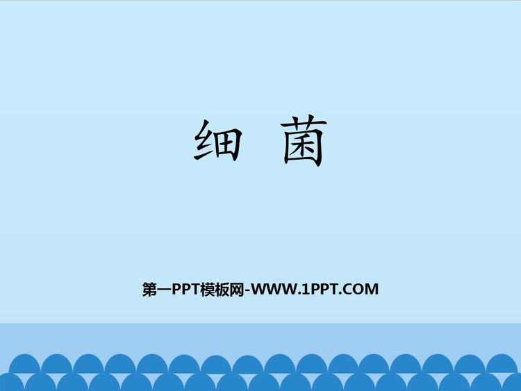 《细菌》PPT免费课件