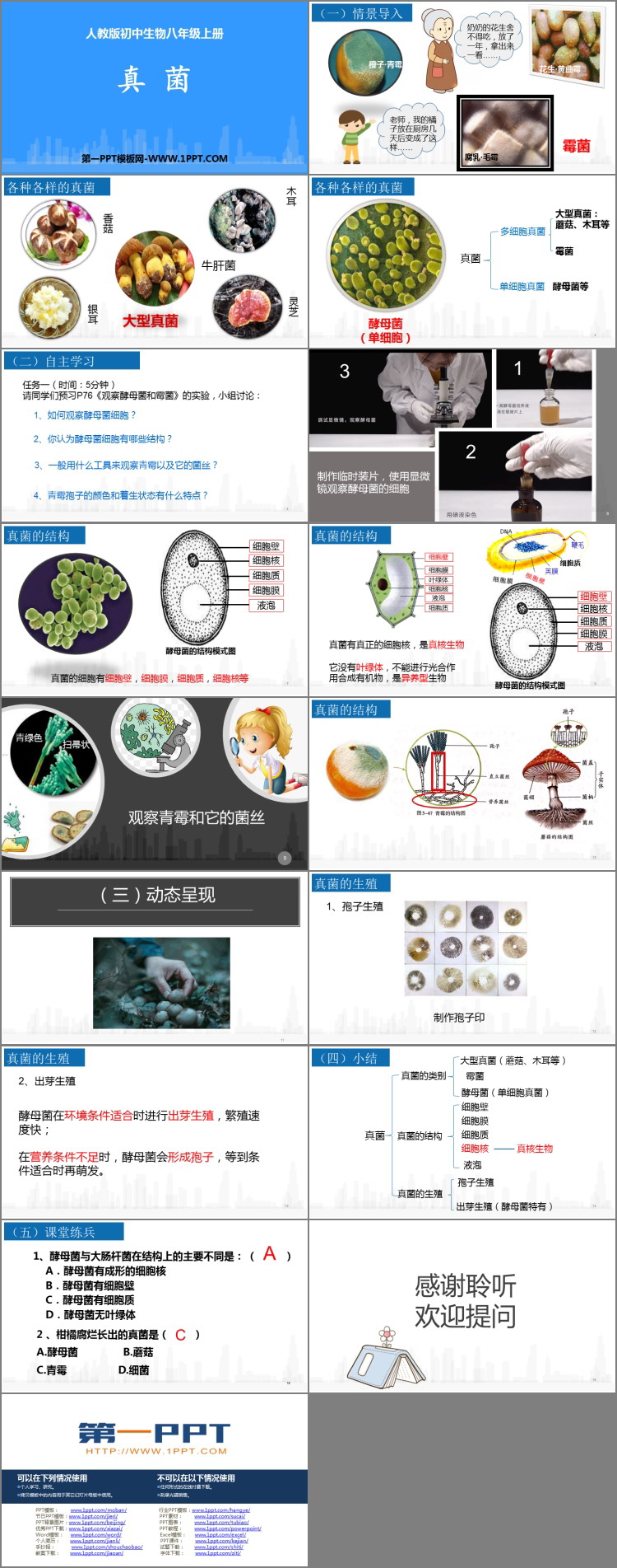 《真菌》PPT优秀课件