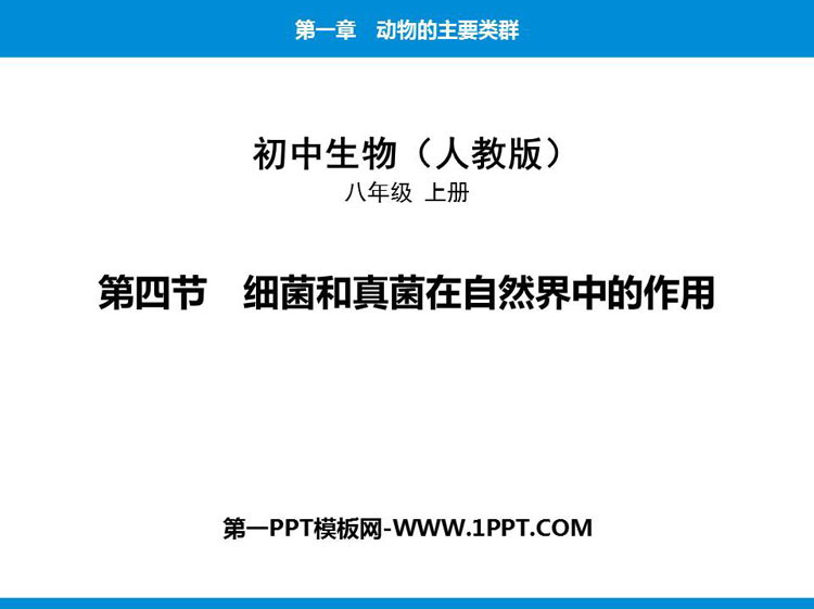 《细菌和真菌在自然界中的作用》PPT免费下载