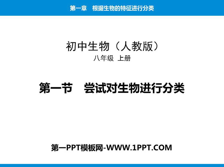 《尝试对生物进行分类》PPT免费下载