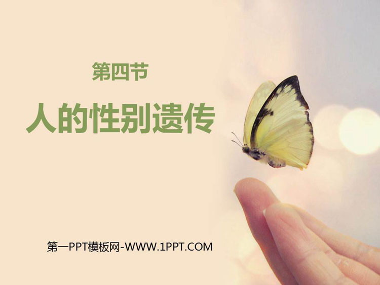 《人的性别遗传》PPT免费课件