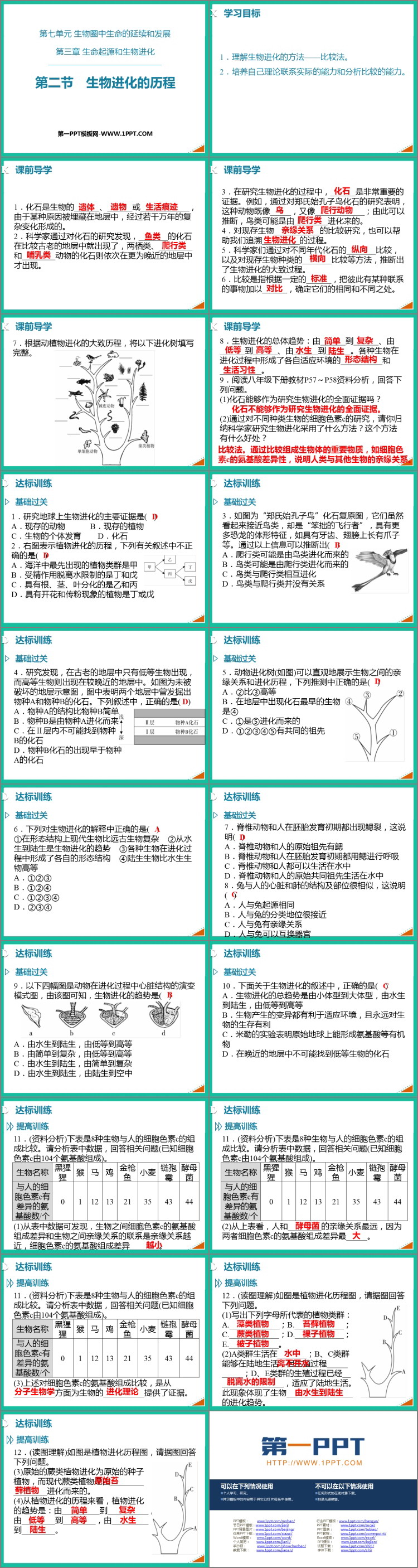 《生物进化的历程》PPT免费课件下载