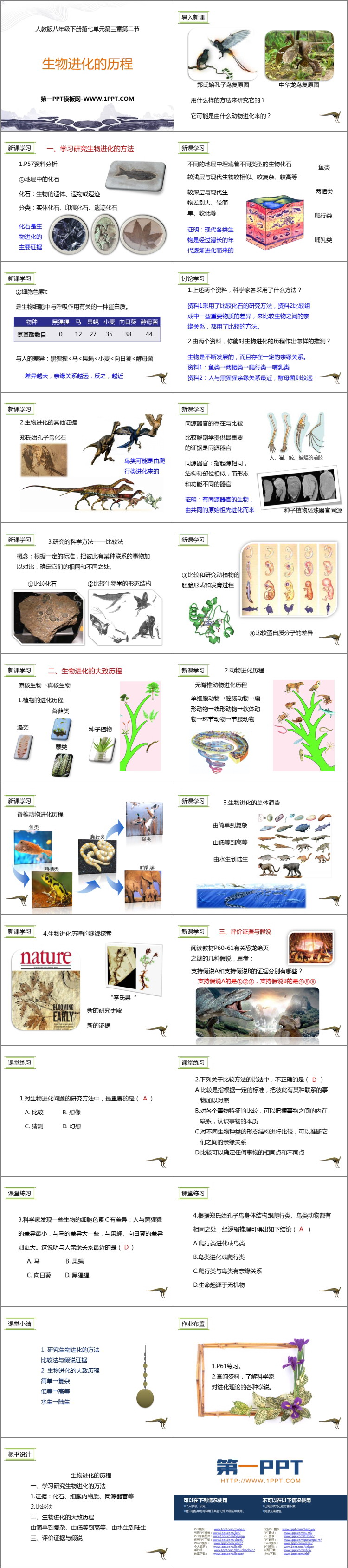 《生物进化的历程》PPT精品课件下载