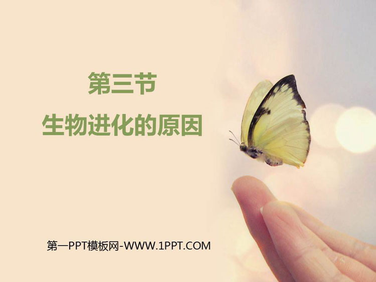 《生物进化的原因》PPT免费课件