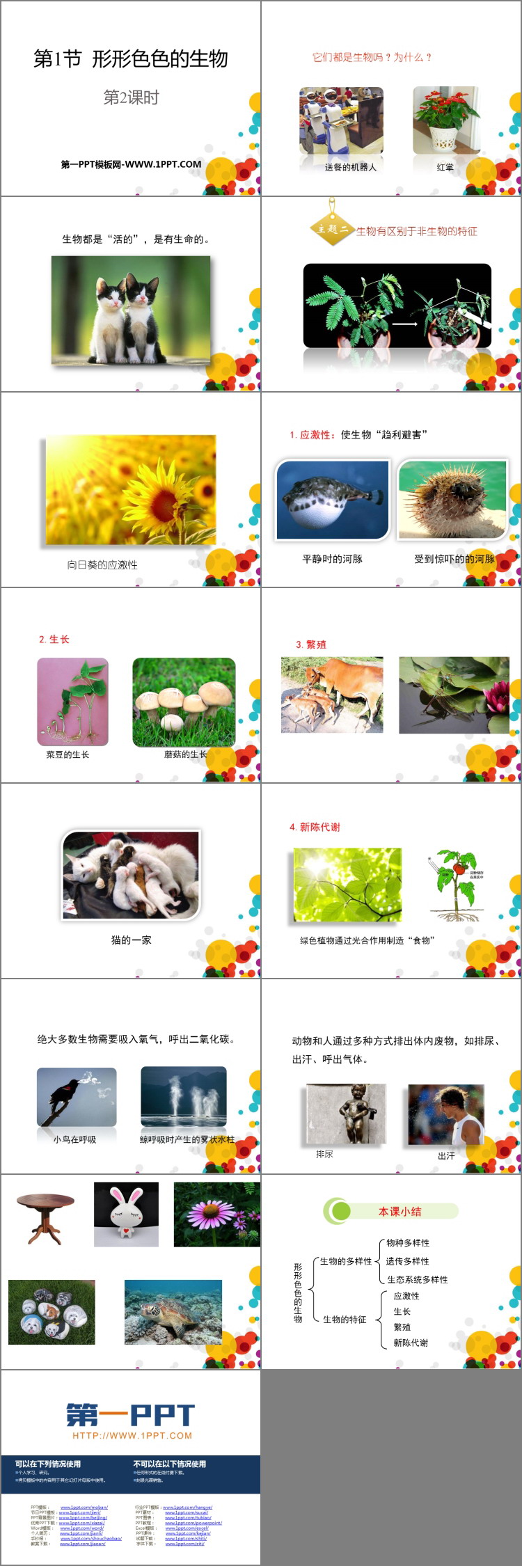 《形形色色的生物》PPT下载(第2课时)
