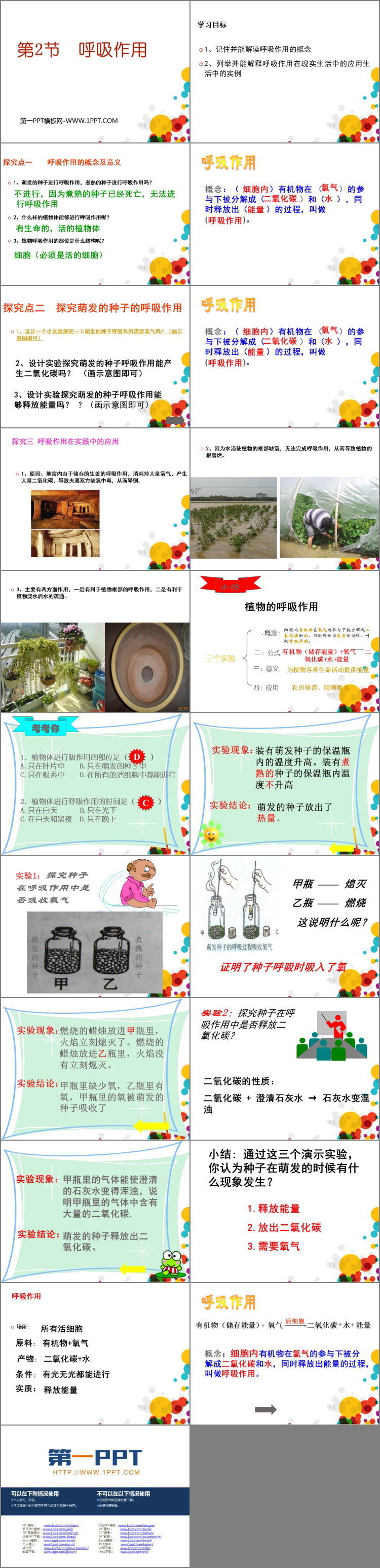《呼吸作用》PPT课件下载