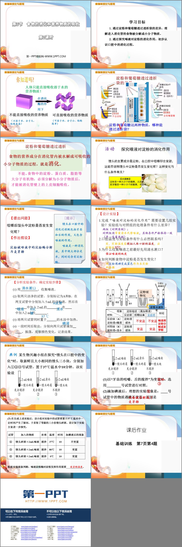 《食物的消化和营养物质的吸收》PPT免费下载(第2课时)