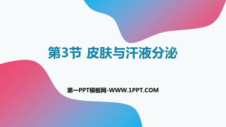 《皮肤与汗液分泌》PPT免费下载