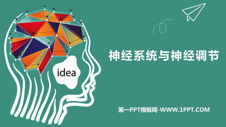 《神经系统与神经调节》PPT教学课件