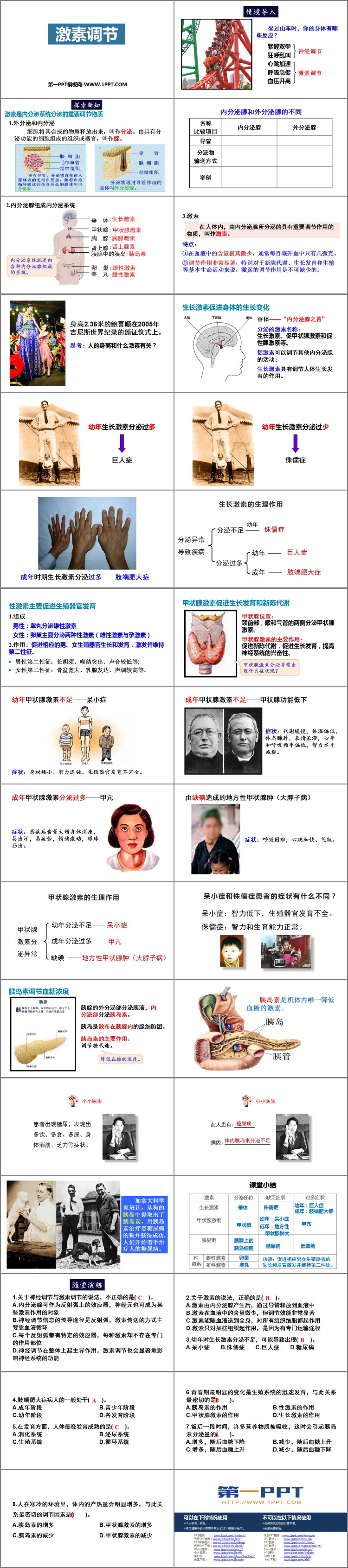 《激素调节》PPT教学课件下载