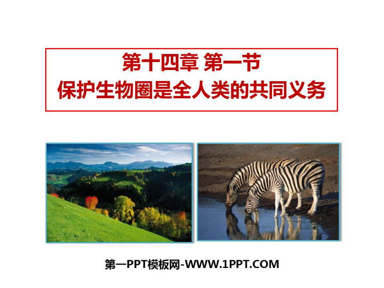 《保护生物圈是全人类的共同义务》PPT优秀课件下载