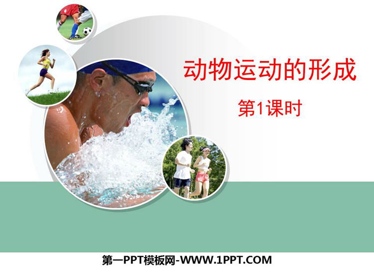 《动物运动的形成》PPT免费下载