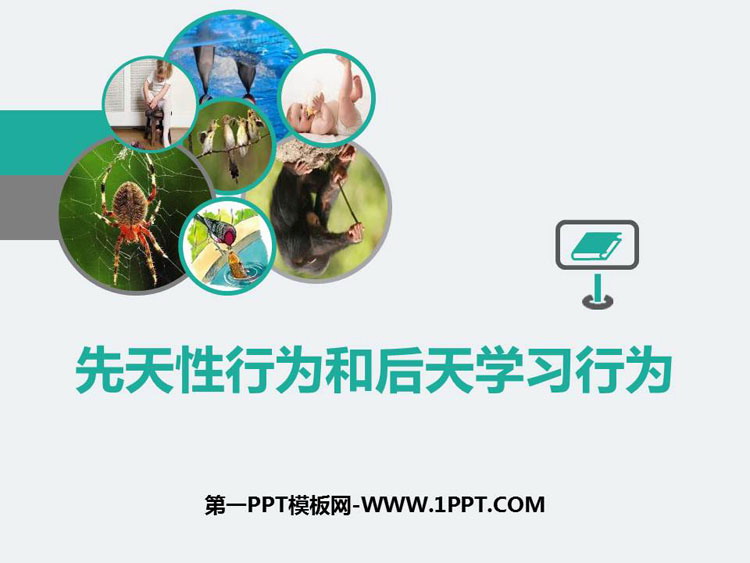《先天性行为和后天学习行为》PPT精品课件