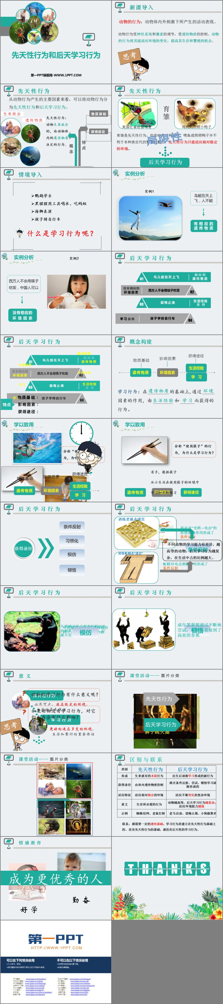 《先天性行为和后天学习行为》PPT精品课件