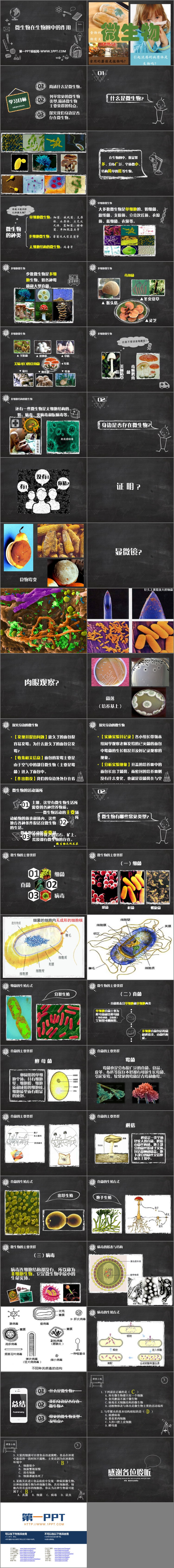 《微生物在生物圈中的作用》PPT课件下载