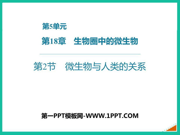 《微生物与人类的关系》PPT教学课件