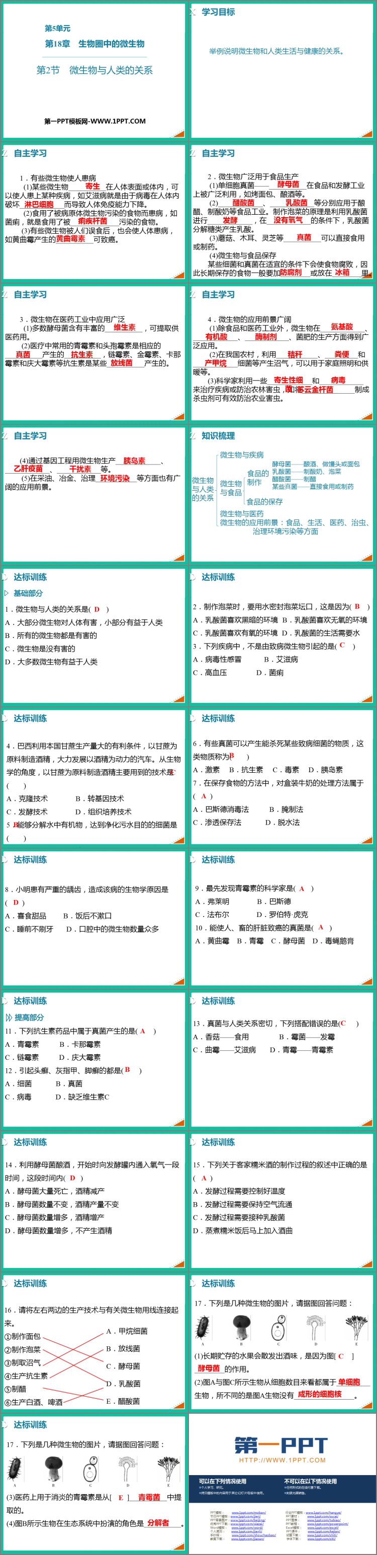 《微生物与人类的关系》PPT教学课件