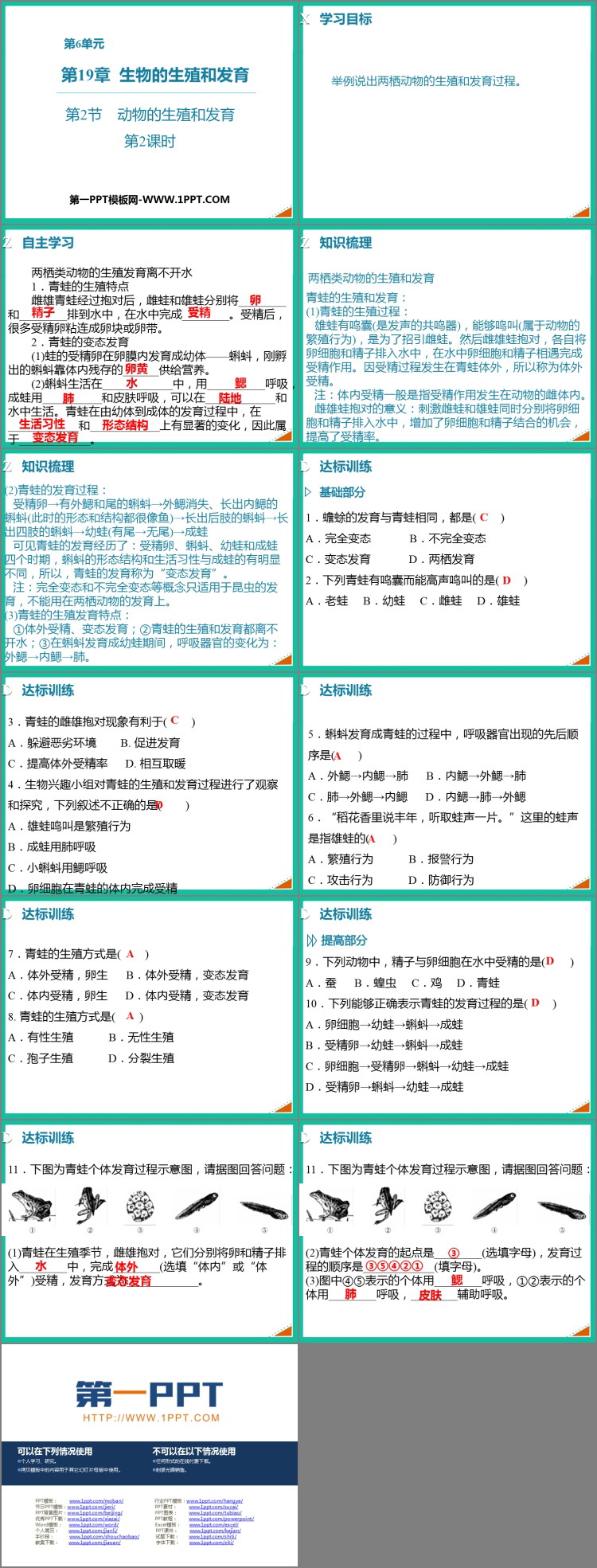 《动物的生殖和发育》PPT免费课件(第2课时)