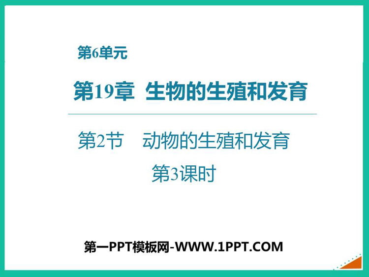 《动物的生殖和发育》PPT免费课件(第3课时)