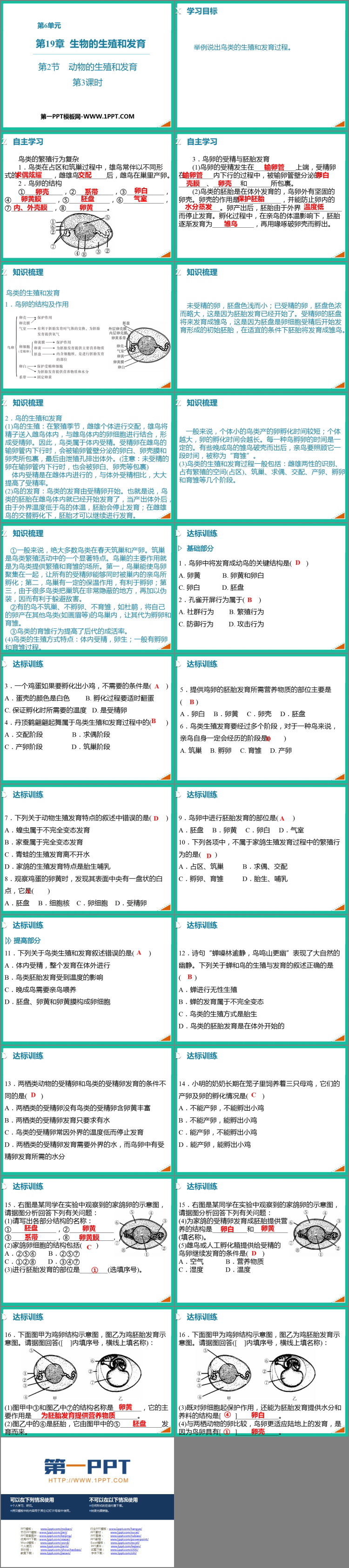 《动物的生殖和发育》PPT免费课件(第3课时)