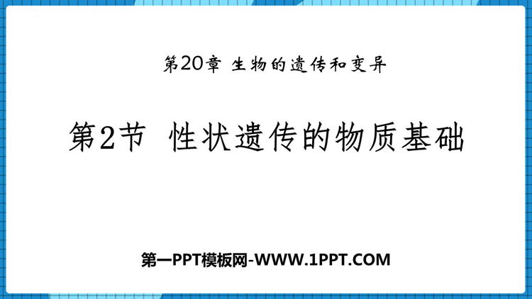 《性状遗传的物质基础》PPT课件下载
