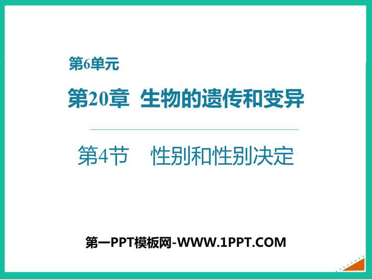 《性别和性别决定》PPT精品课件