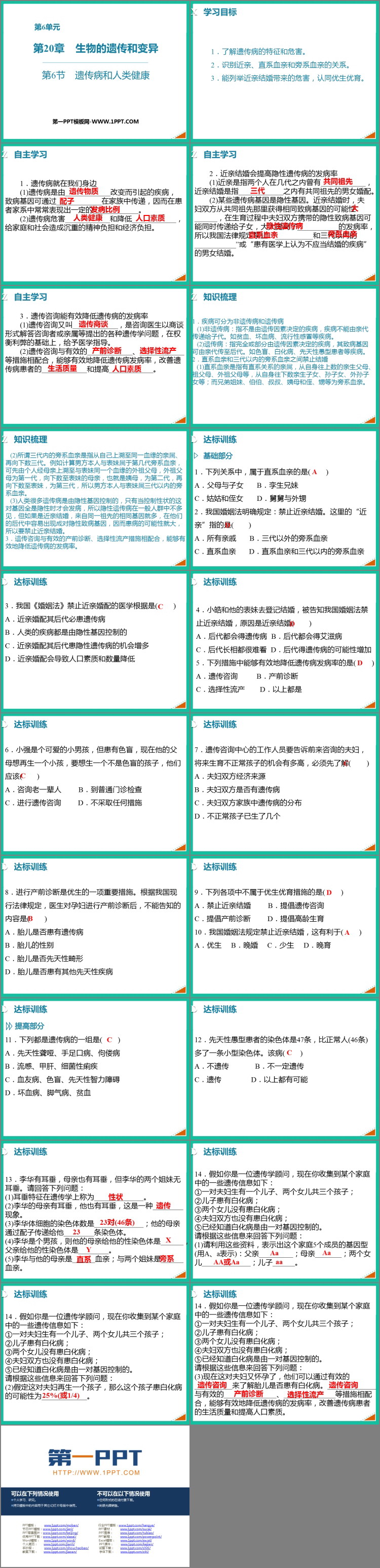 《遗传病和人类健康》PPT课件下载