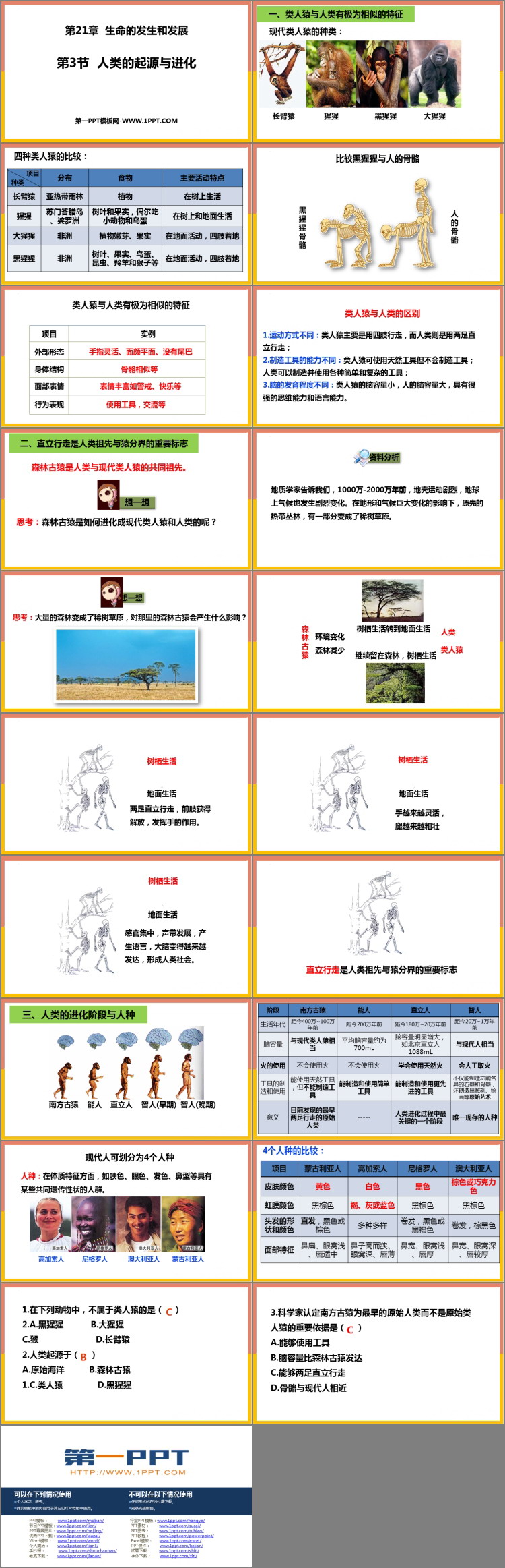 《人类的起源和进化》PPT优质课件下载