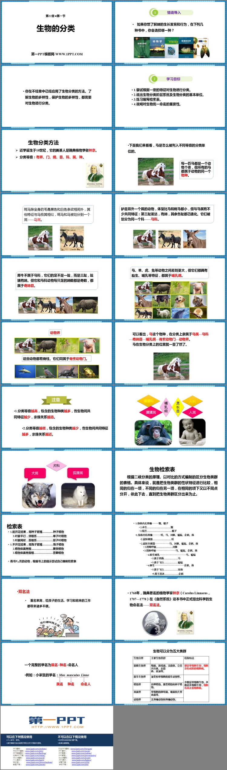 《生物的分类》PPT免费下载