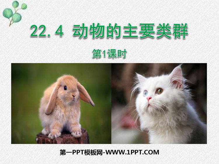 《动物的主要类群》PPT精品课件