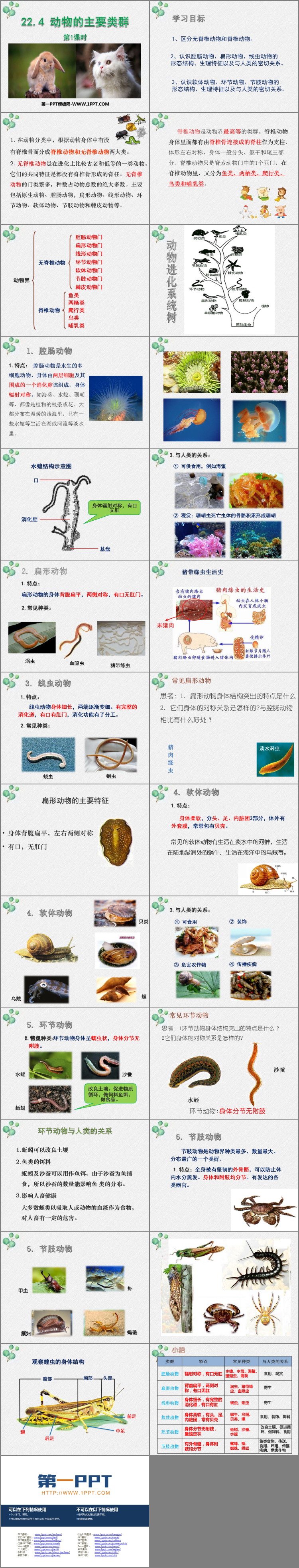 《动物的主要类群》PPT精品课件