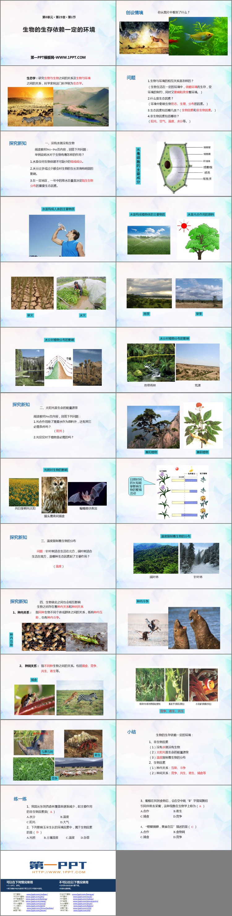 《生物的生存依赖一定的环境》PPT免费下载
